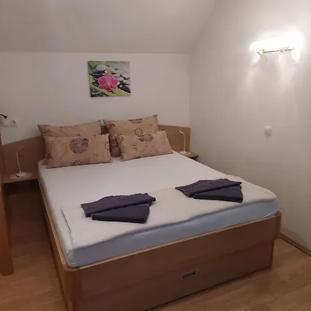 Apartmaji Vesna Bohinj Esterno foto