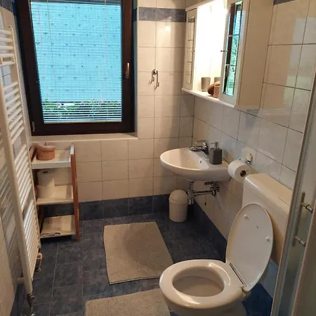 Apartmaji Vesna Bohinj Esterno foto