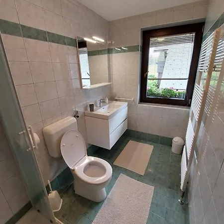 Apartmaji Vesna Bohinj Esterno foto