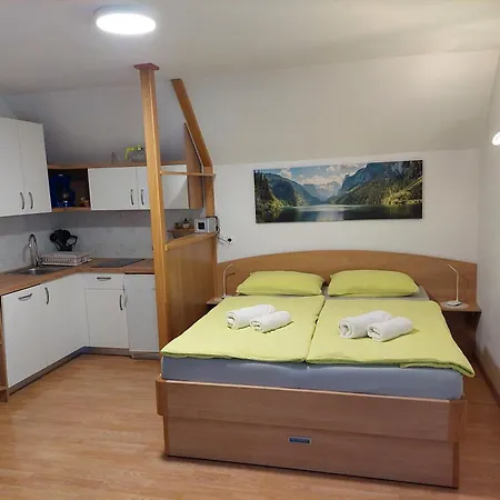 Apartmaji Vesna Bohinj Esterno foto
