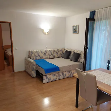Apartmaji Vesna Bohinj Esterno foto