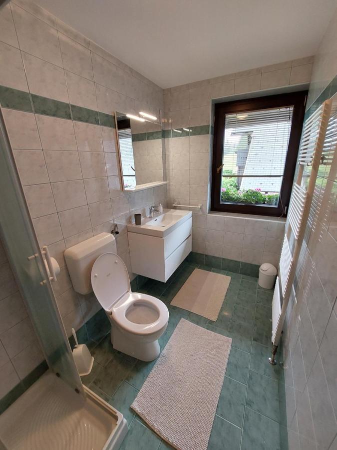 Apartmaji Vesna Apartment *