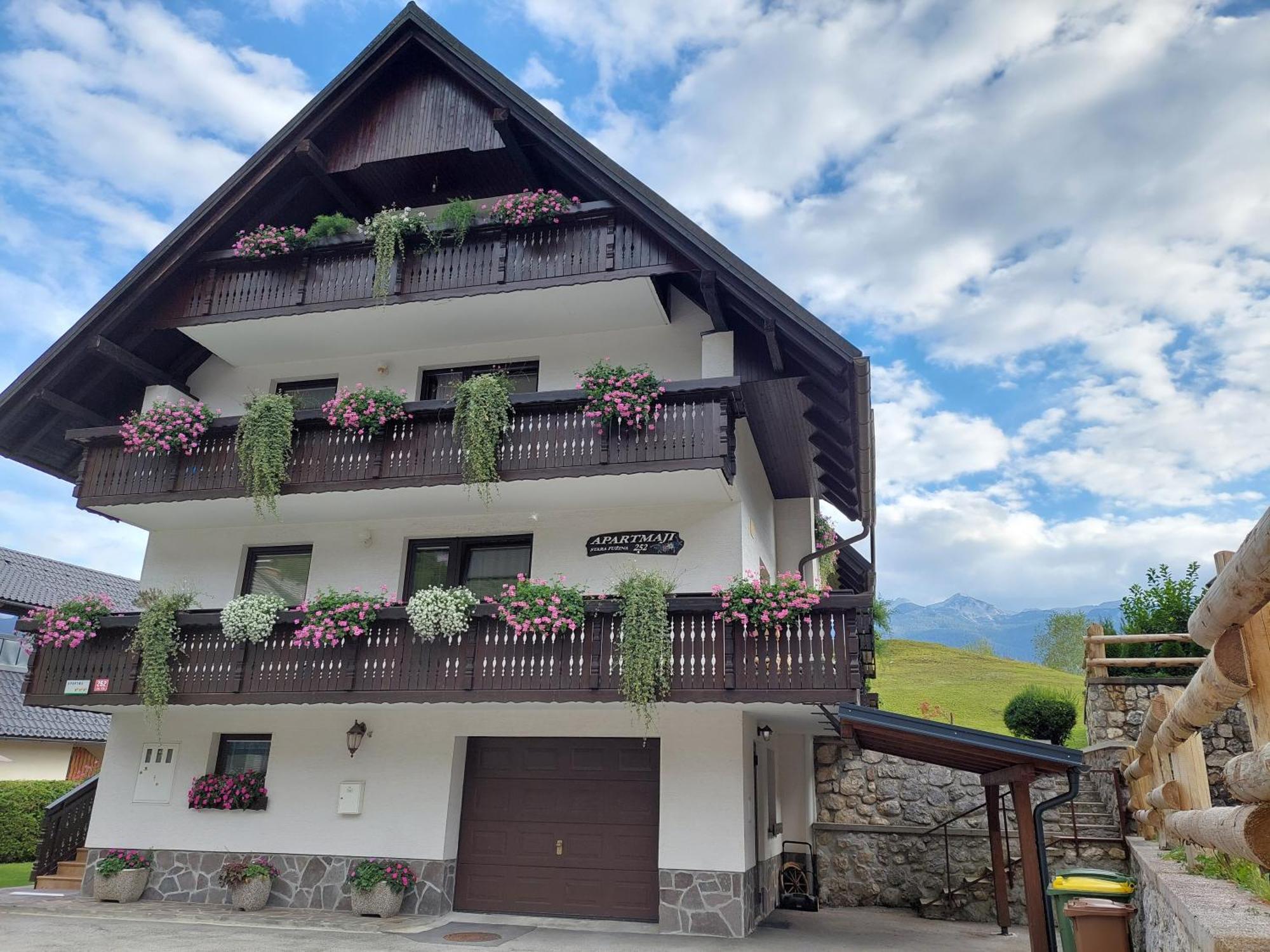 Apartmaji Vesna *