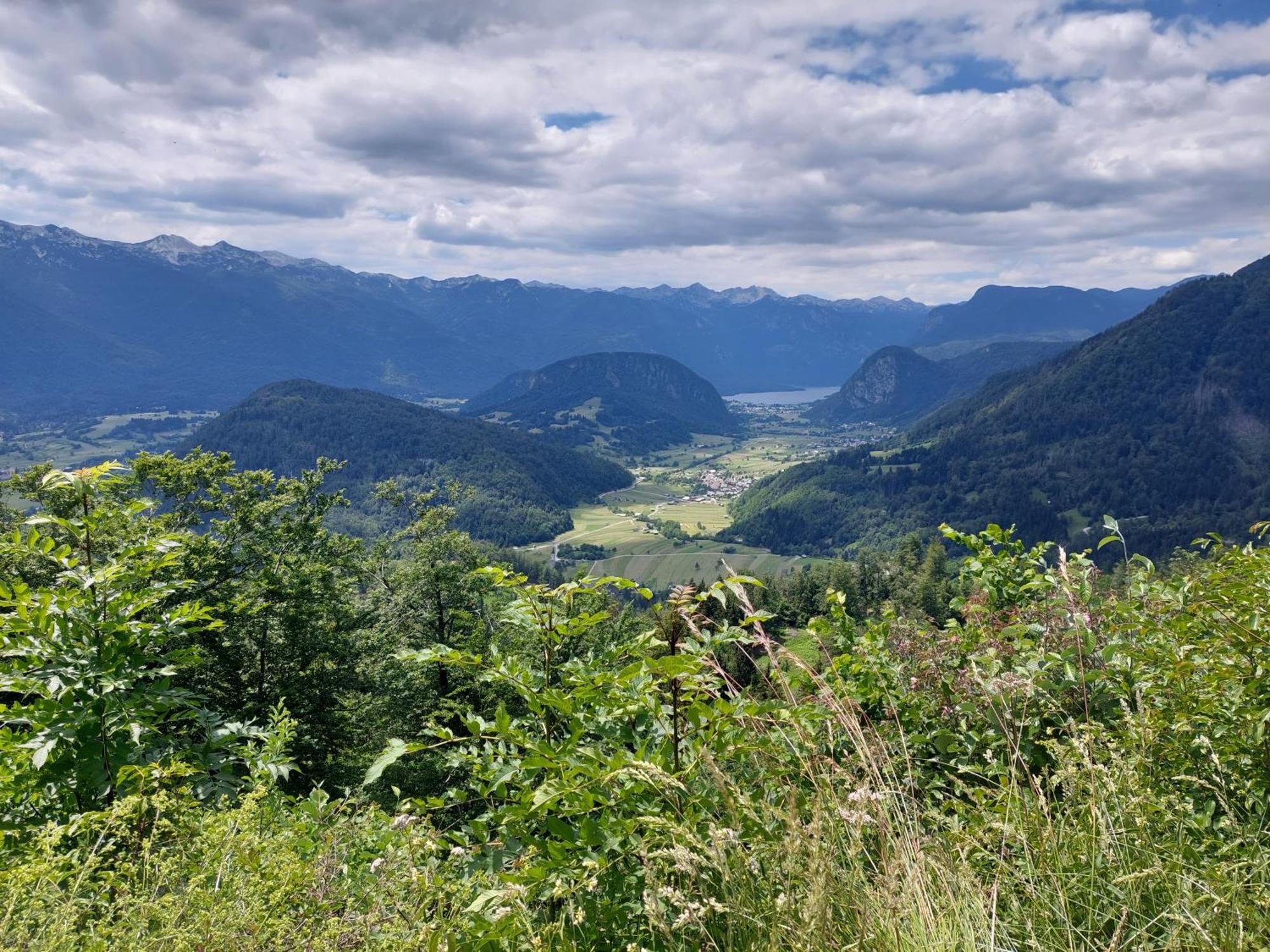 Apartma Apartmaji Vesna Bohinj