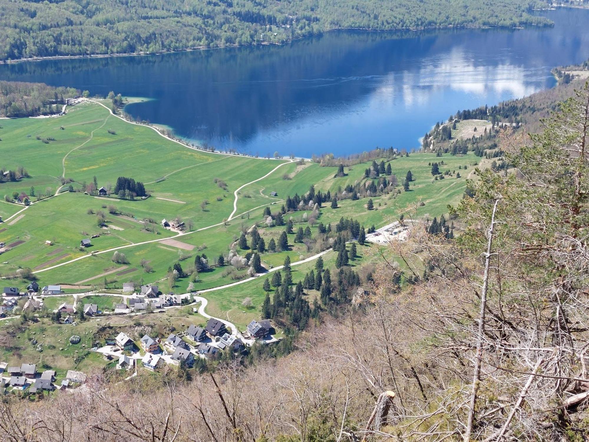 Apartmaji Vesna * Bohinj