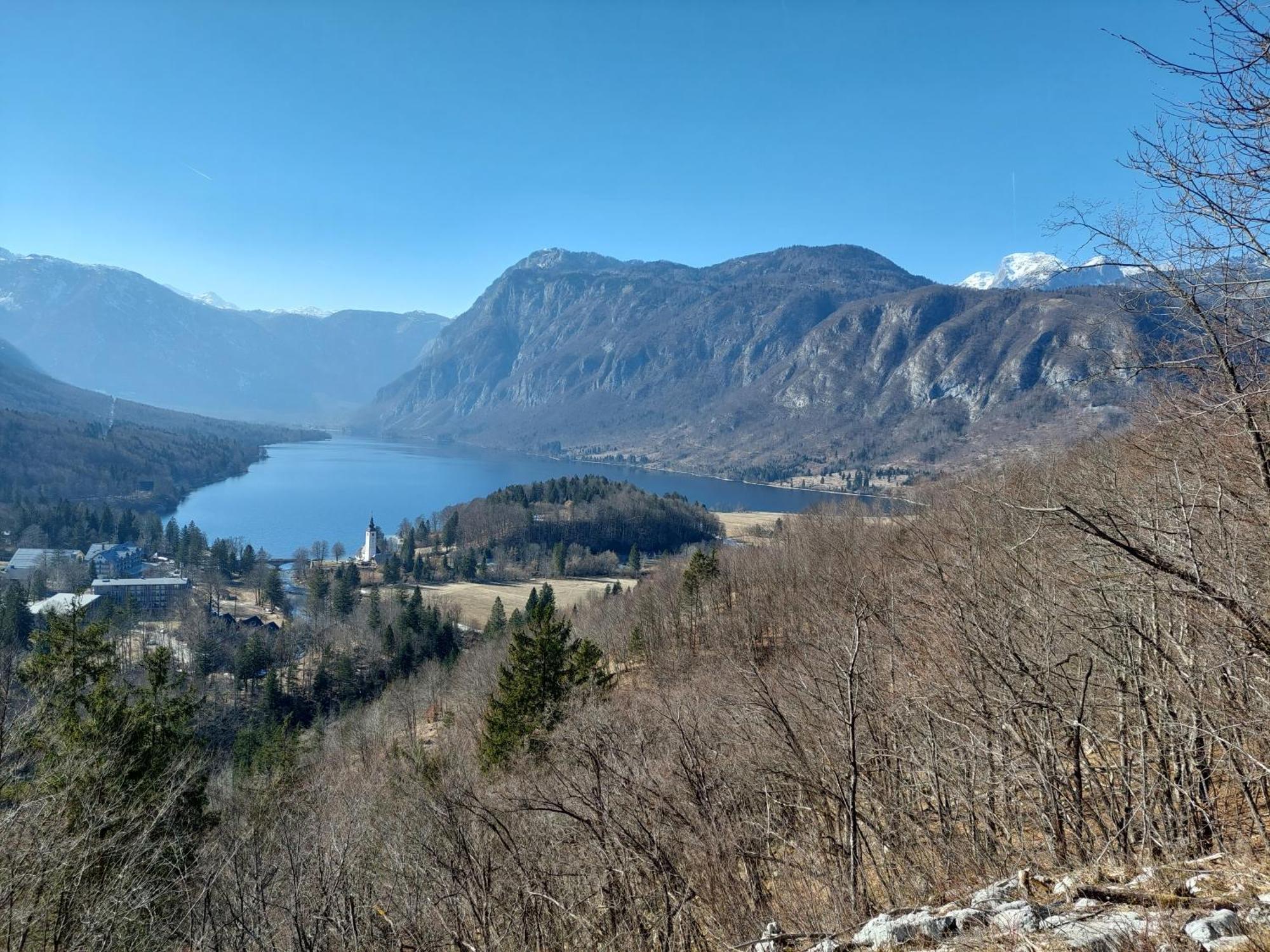 Apartmaji Vesna * Bohinj