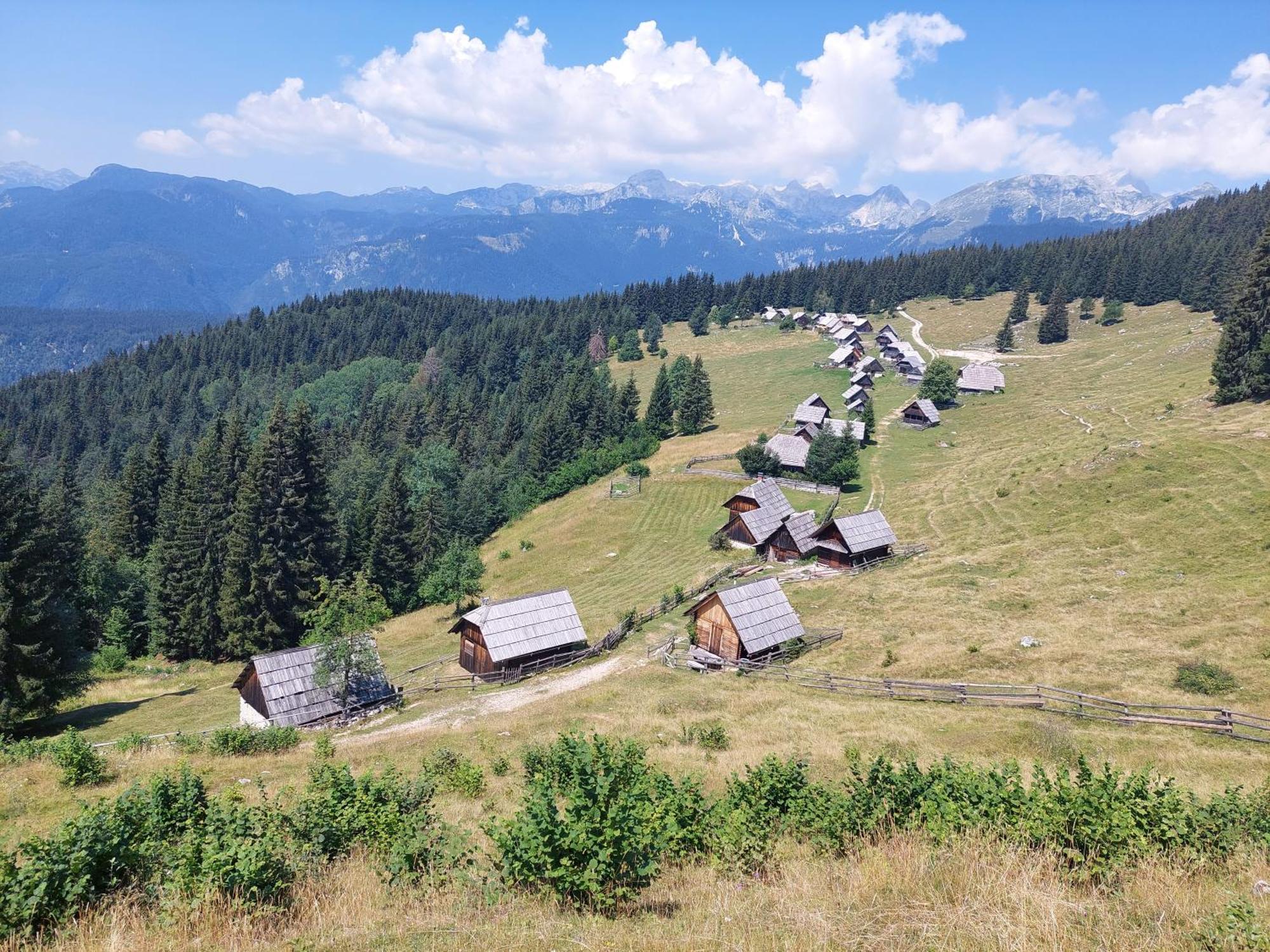 Apartmaji Vesna Apartma